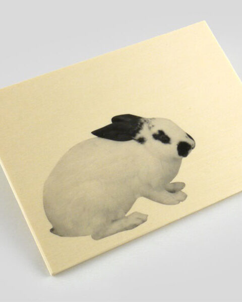 Wood postcard